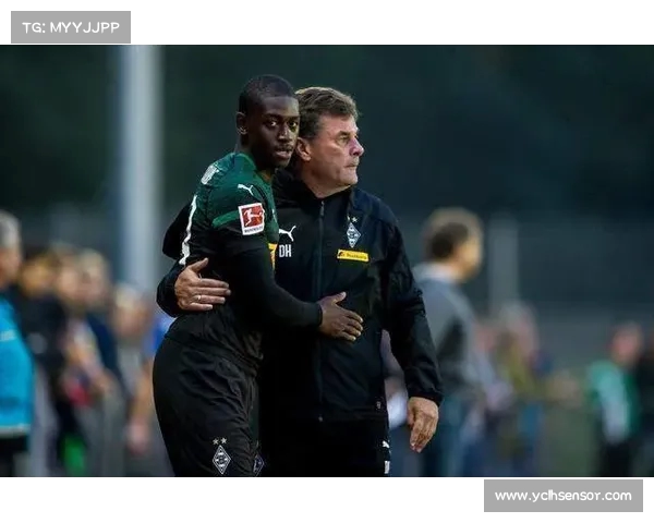 德甲玻璃人伤病频发背后的秘密与挑战分析 德甲玻璃人伤病频发背后的秘密与挑战分析