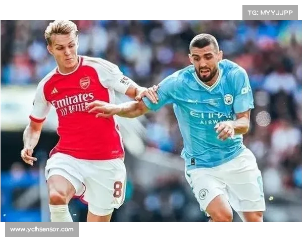 足球俱乐部引援策略解析如何通过精准引援提升球队竞争力 足球俱乐部引援策略解析如何通过精准引援提升球队竞争力