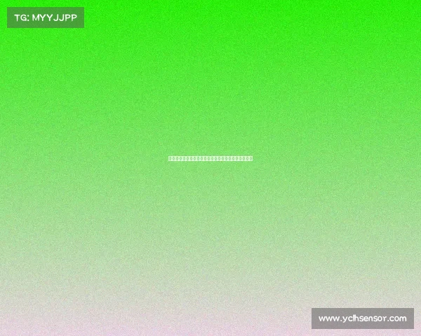 聚勒与多特合同剩一年暂无续约意向或将面临转会变动 聚勒与多特合同剩一年暂无续约意向或将面临转会变动