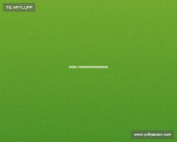 西班牙人与24岁前锋加斯东巴列斯正式解约结束合作关系 西班牙人与24岁前锋加斯东巴列斯正式解约结束合作关系