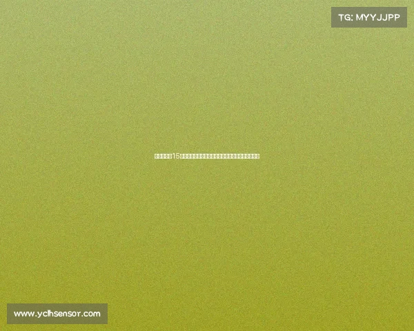 鲁媒报道:15岁小将刘凯源启程赴西班牙加盟黄潜梯队开启新征程 鲁媒报道:15岁小将刘凯源启程赴西班牙加盟黄潜梯队开启新征程