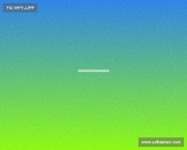 欧洲冠军联赛历届冠军荣誉榜及历史发展回顾 欧洲冠军联赛历届冠军荣誉榜及历史发展回顾