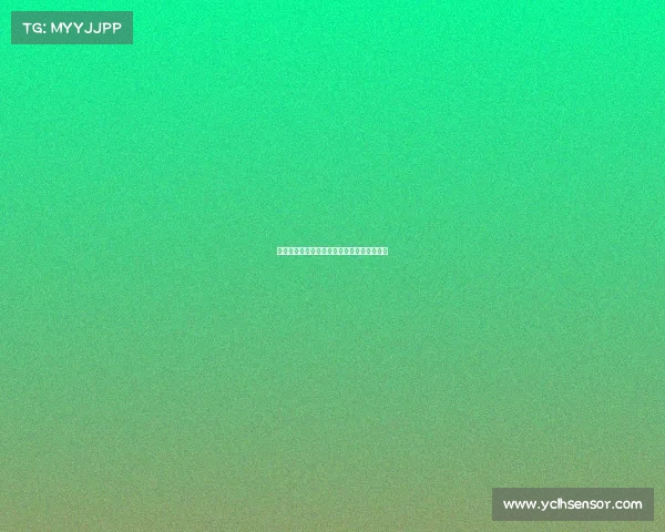 远射破门绝妙技：精准弧线撕开防线攻破球门