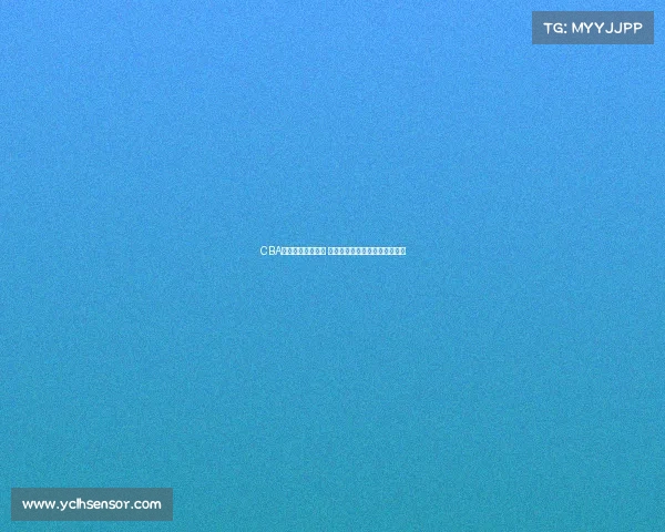 CBA球队日常训练揭秘 球员成长与战术磨合的幕后故事 CBA球队日常训练揭秘 球员成长与战术磨合的幕后故事