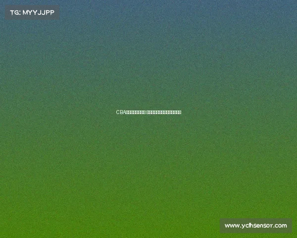 CBA球队日常训练揭秘 球员成长与战术磨合的幕后故事 CBA球队日常训练揭秘 球员成长与战术磨合的幕后故事