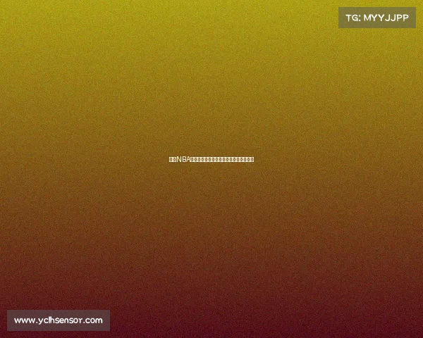 费城NBA球市文化探析及其对球队发展的深远影响