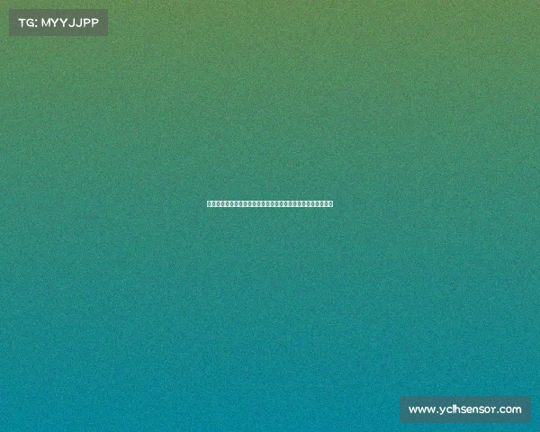 英超主帅点评：各队战术调整与表现分析揭示新赛季潜力与挑战