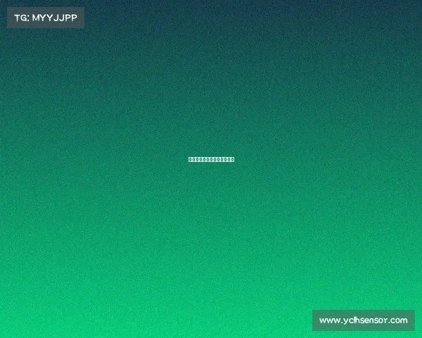 荣誉墙：人生奋斗的光辉岁月