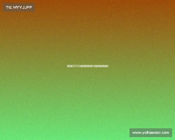 邓弗里斯2500万欧解约金即将失效 巴萨难以完成引援交易