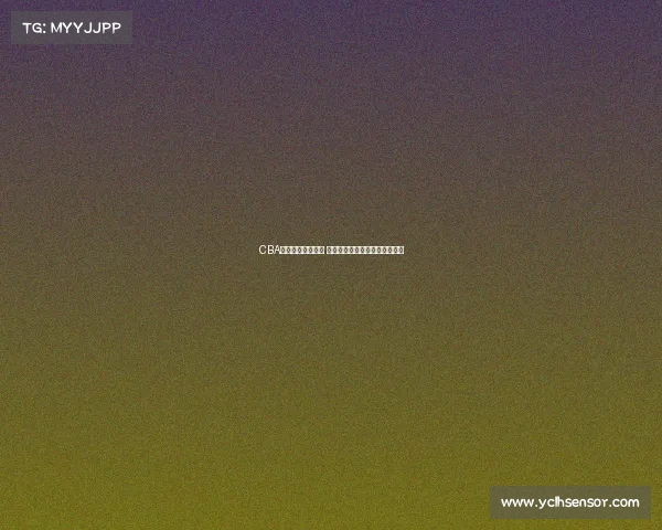 CBA球队日常训练揭秘 球员成长与战术磨合的幕后故事