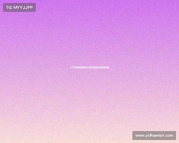 CBA球队日常训练揭秘 球员成长与战术磨合的幕后故事