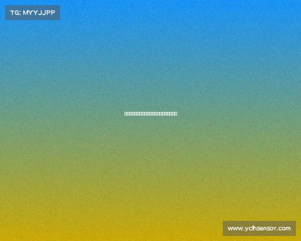 足球转会市场竞争态势分析与未来发展趋势探讨