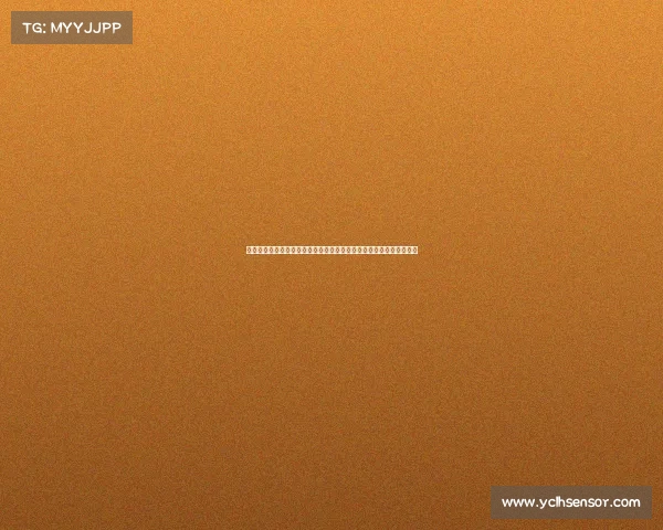 欧冠联赛全球影响力分析：文化传播、商业价值与社会效应的深远探讨