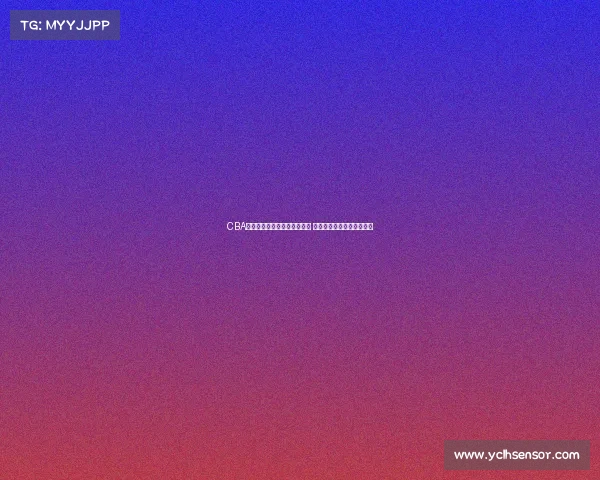 CBA球鞋发展历程与热门款式解析 打造属于中国篮球的鞋文化