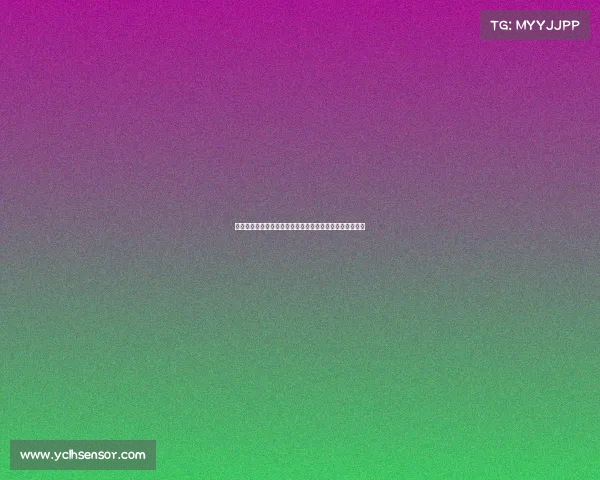 足球门将新签约助力球队夺冠前景分析及未来发展潜力探讨