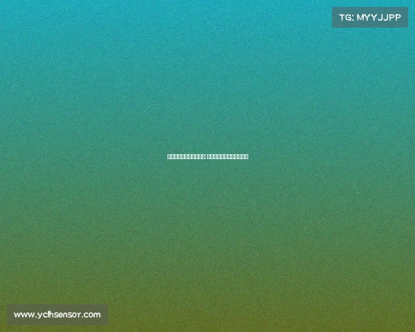 英超新赛季激战即将开启 精彩对决与赛程安排全解析