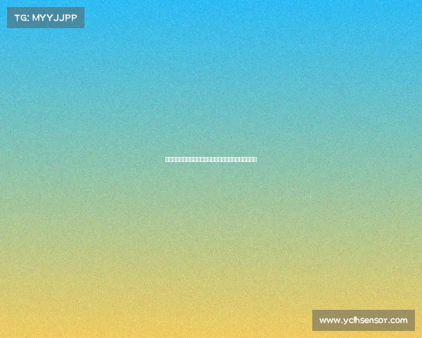 荣誉象征与文化传承：从历史到现代的象征意义与价值探索