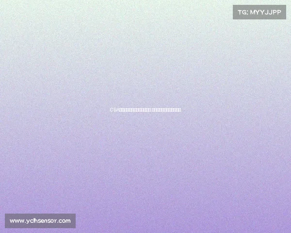 CBA球鞋发展历程与热门款式解析 打造属于中国篮球的鞋文化 CBA球鞋发展历程与热门款式解析 打造属于中国篮球的鞋文化