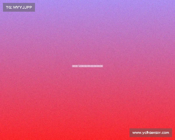 英雄联盟S赛历届战绩回顾与冠军队伍表现分析