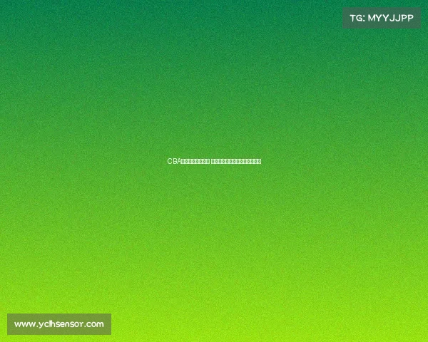 CBA球队日常训练揭秘 球员成长与战术磨合的幕后故事