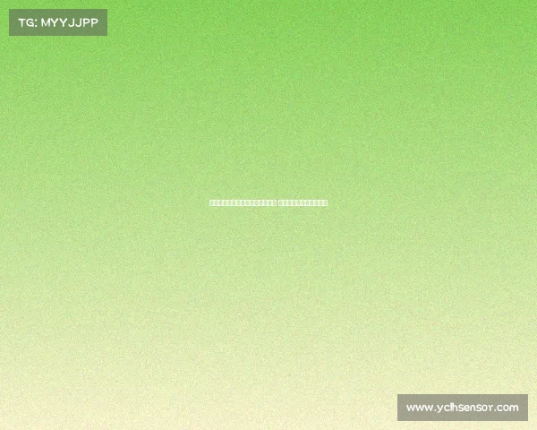 法媒报道欧纳希拒绝莫斯科斯巴达 马赛欲用其交换古铁雷斯